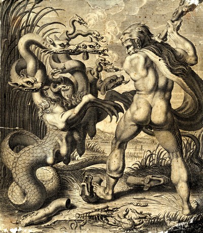 Exposition animaux fantastiques créatures hydre Hercule mythologie