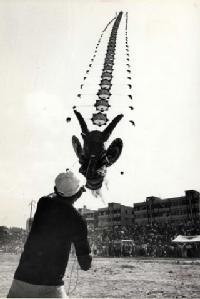 Exposition Histoire cerfs-volants Taïwan photo