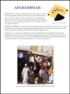 Exposition Histoire cerfs-volants Afghanistan