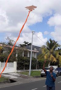 Exposition Histoire cerfs-volants Bermudes photo