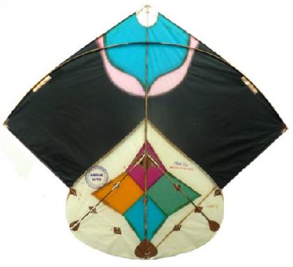 Exposition Histoire cerfs-volants Inde