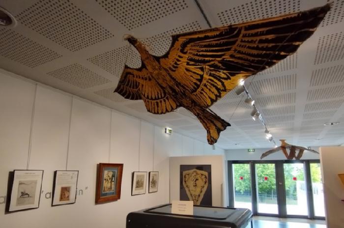 Exposition Histoire cerfs-volants Atalanta kite